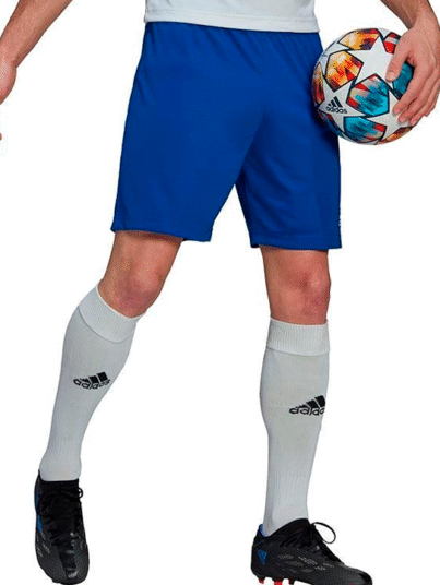 Adidas-Entrada-22-Shorts-HG6294-en-Atalanta-Fitwear-1